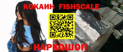 крисы Гатчина