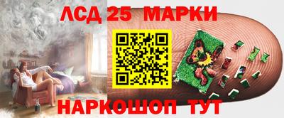 крисы Гатчина
