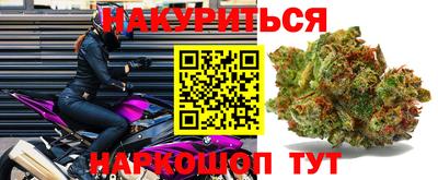 крисы Гатчина