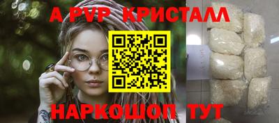 крисы Гатчина