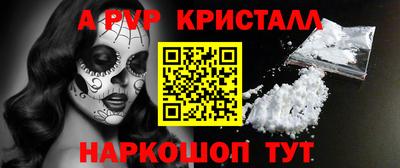 крисы Гатчина