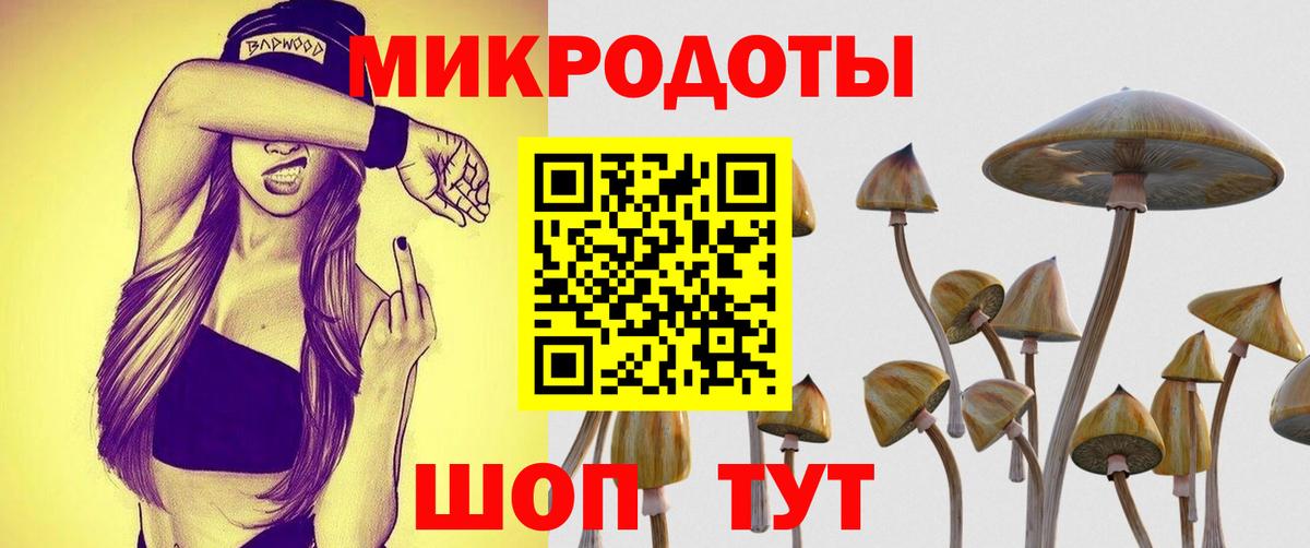 Нарткала  Псилоцибиновые грибы Cubensis  Вход с VPN 